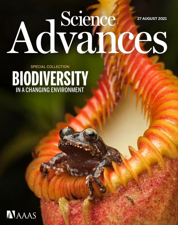 American Association for the Advancement of Science's journal, Science Advances.